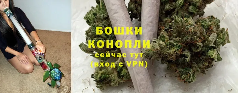 Конопля THC 21%  Мосальск 